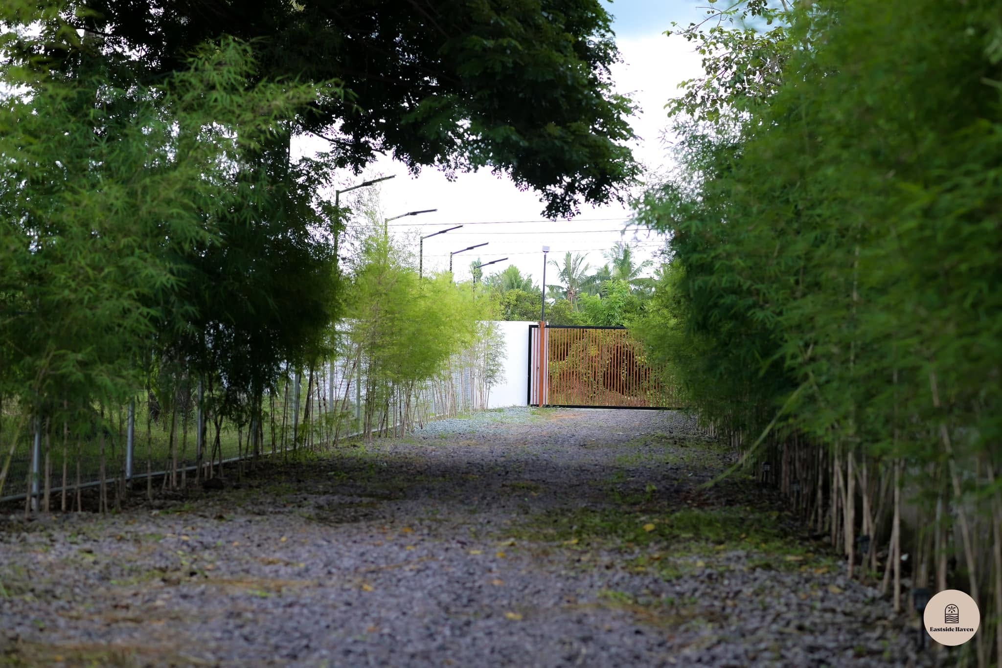 Bamboo-lined driveway leading to the front gate